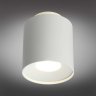 Точечный светильник Omnilux Torino OML-100309-16