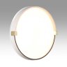 Настенно-потолочный светильник Sonex Pale Olidi White 7646/CL