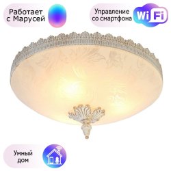 Потолочный светильник Arte Lamp с поддержкой Маруся A4541PL-3WG-М