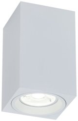 Потолочный светильник Maytoni Alfa C011CL-01W