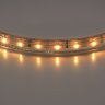 1м. Светодиодная лента теплого цвета 3528, 2800К, 220V, 60LED/m, IP65 Lightstar 402002