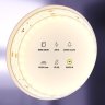 5м. Светодиодная лента теплого цвета 3000К, 20W, 24V, 60LED, IP20 Led strip 20028