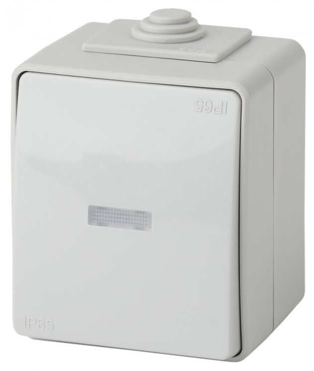 Выключатель одноклавишный с подсветкой ЭРА Эксперт 10AX 250V IP65 11-1602-03 Б0035974
