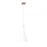 Подвесной светильник Loft IT Loft1844/A