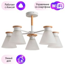 Потолочная люстра Arte Lamp Tyler с поддержкой Алиса A1031PL-5WH-A