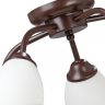 V3252/5PL Потолочная люстра Vitaluce