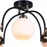 Потолочная люстра Illumico IL0250-5CSQ-79 BK AB (1423891)