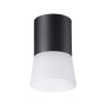 Накладной светильник Novotech Elina 370900