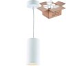 Светильник с лампочкой Divinare Gavroche Sotto 1359/03 SP-1+Lamps Gu10