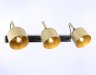 Cпот Traditional Ambrella light TR97109