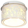 Потолочный светильник Lussole Vetere GRLSF-2307-04