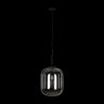 Подвесной светильник с дымчатым плафоном Loft IT Oda 10195/350 Smoke