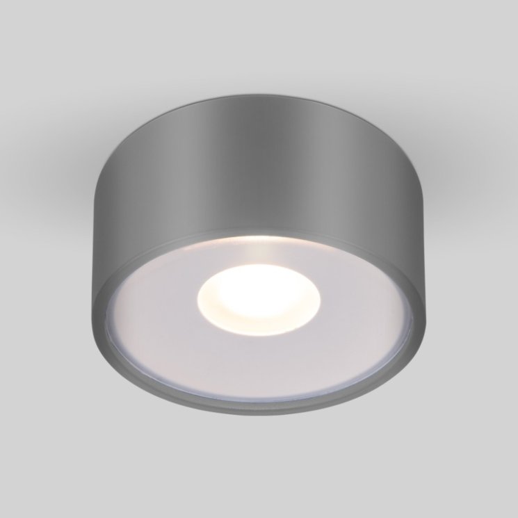 Уличный светодиодный светильник Elektrostandard Light LED 2135 IP65 35141/H серый (a057472)