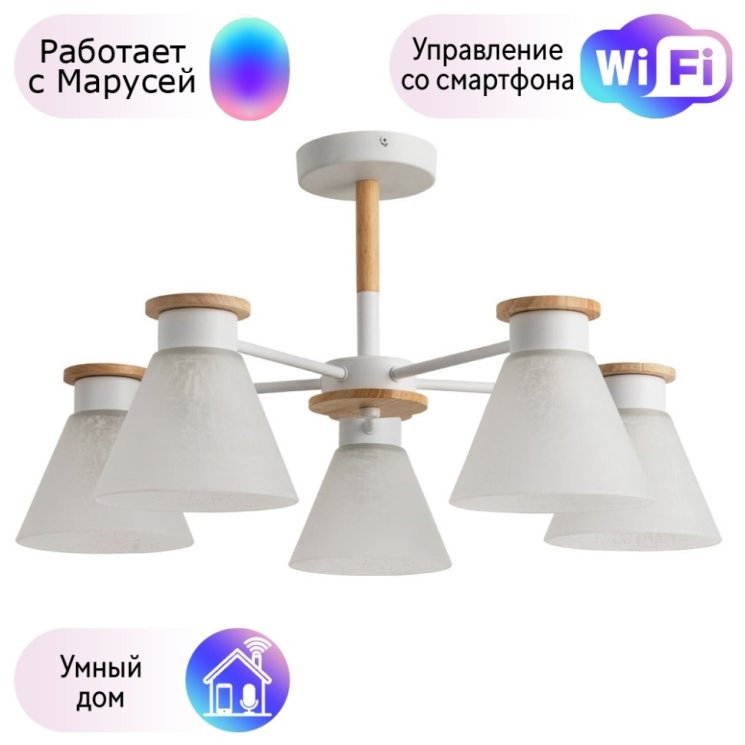 Потолочная люстра Arte Lamp Tyler с поддержкой Маруся A1031PL-5WH-М
