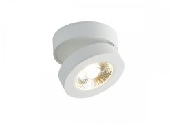 Накладной поворотный светодиодный светильник (блок питания в комплекте) Donolux Sun DL18962R12W1W