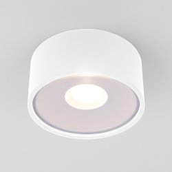 Уличный светодиодный светильник Elektrostandard Light LED 2135 IP65 35141/H белый (a057471)