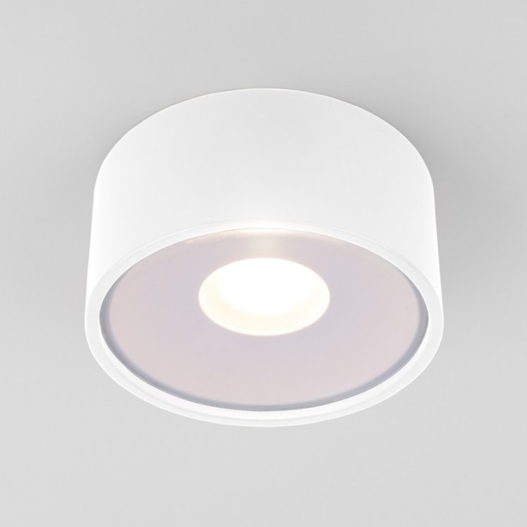 Уличный светодиодный светильник Elektrostandard Light LED 2135 IP65 35141/H белый (a057471)
