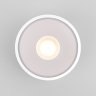 Уличный светодиодный светильник Elektrostandard Light LED 2135 IP65 35141/H белый (a057471)