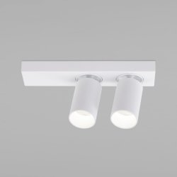 Спот Flank Eurosvet 20139/2 LED белый