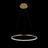 Светильник подвесной светодиодный Loft It Ring 10014M