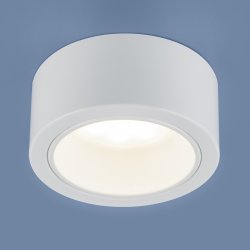 1070 GX53 WH белый Накладной светильник Elektrostandard (a035973)
