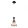 Подвесной светильник Loft IT Loft1812
