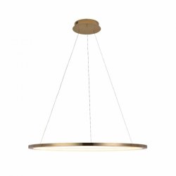 Светильник подвесной светодиодный LOFTIT Ring 10014L