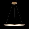 Светильник подвесной светодиодный LOFTIT Ring 10014L