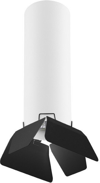 R496437 Накладной светильник Rullo Lightstar (комплект из 214496+202437)
