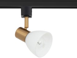 Однофазный светильник для трека Falena Arte Lamp A3117PL-1BK