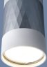 Потолочный накладной светильник Elektrostandard DLN110 GU10 белый/серебро (a047744)