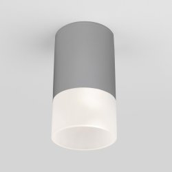 Уличный светодиодный светильник Elektrostandard Light LED 2106 IP54 35139/H серый (a057158)