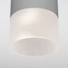 Уличный светодиодный светильник Elektrostandard Light LED 2106 IP54 35139/H серый (a057158)