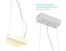 Потолочный светодиодный светильник с ПДУ (Радио 2.4) Ambrella light Acrylica FA607