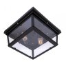 Потолочный светильник Loft IT Loft3110-2C