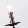 Бра с лампочкой F-Promo Plini 2590-1W+Lamps E14 Свеча