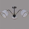 Потолочная люстра Illumico IL0344-3CSQ-79 BK AB (1423881)