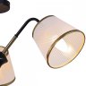 Потолочная люстра Illumico IL0344-3CSQ-79 BK AB (1423881)