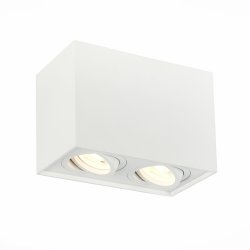 Накладной точечный поворотный светильник ST-Luce ST109.507.02