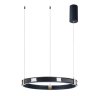 Подвесной светильник с пультом ДУ Arte Lamp Shine A2222SP-1BK