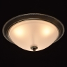 Потолочный светильник MW-Light Ариадна 450015503