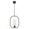 Подвесной светильник Celaeno Arte Lamp A7004SP-1BK