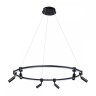 Подвесная люстра Arte Lamp Ring A2186SP-1BK