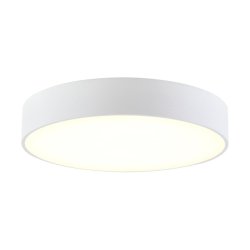 Потолочный светильник Citilux Тао CL712240N