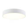 Потолочный светильник Citilux Тао CL712240N