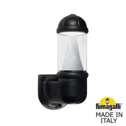 Светильник уличный настенный Fumagalli Mirella D15.505.000.AXD1L