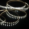 5м. Светодиодная лента холодного цвета 6500К 2116, 8W, 24V, 120LED, IP20 Elektrostandard 2116 24V 120Led 8W IP20 (a056427)