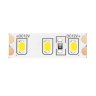5м. Светодиодная лента теплого цвета 3000К, 9,6W, 12V, 120LED/m, IP20 Led strip Maytoni 10108