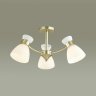 Люстра потолочная Lumion Wilma 4535/3C
