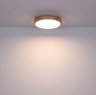 Светильник потолочный светодиодный с пультом ДУ Rainer Globo 41745-24